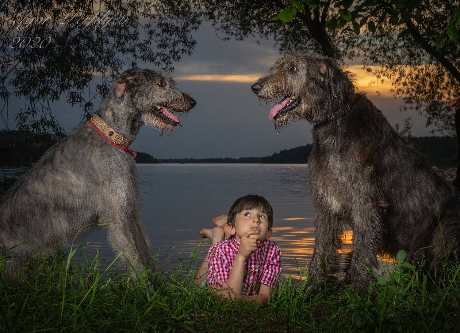 , игорь перфильев