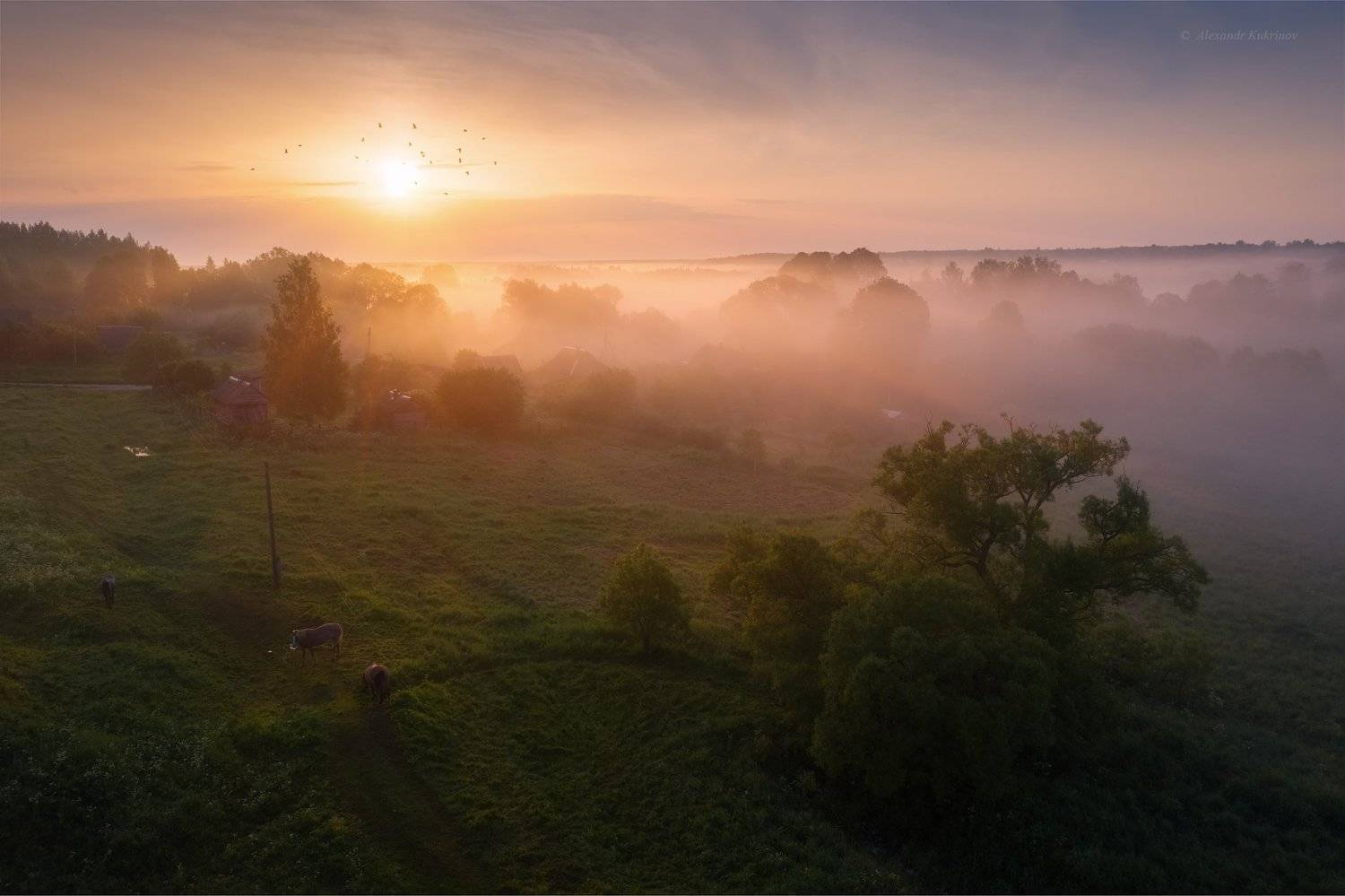 угра,утро,пейзаж,рассвет,лето,туман,солнце,лучи, Александр Кукринов
