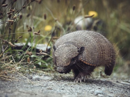 Деловой гражданин
