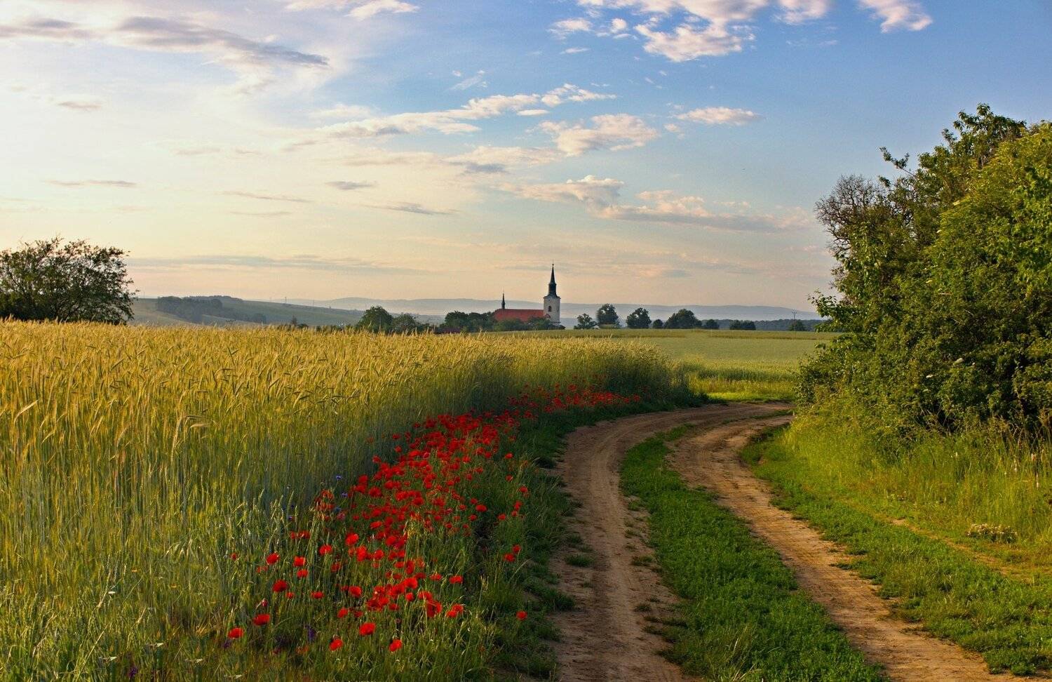 , Franti&scaron;ek Uhler