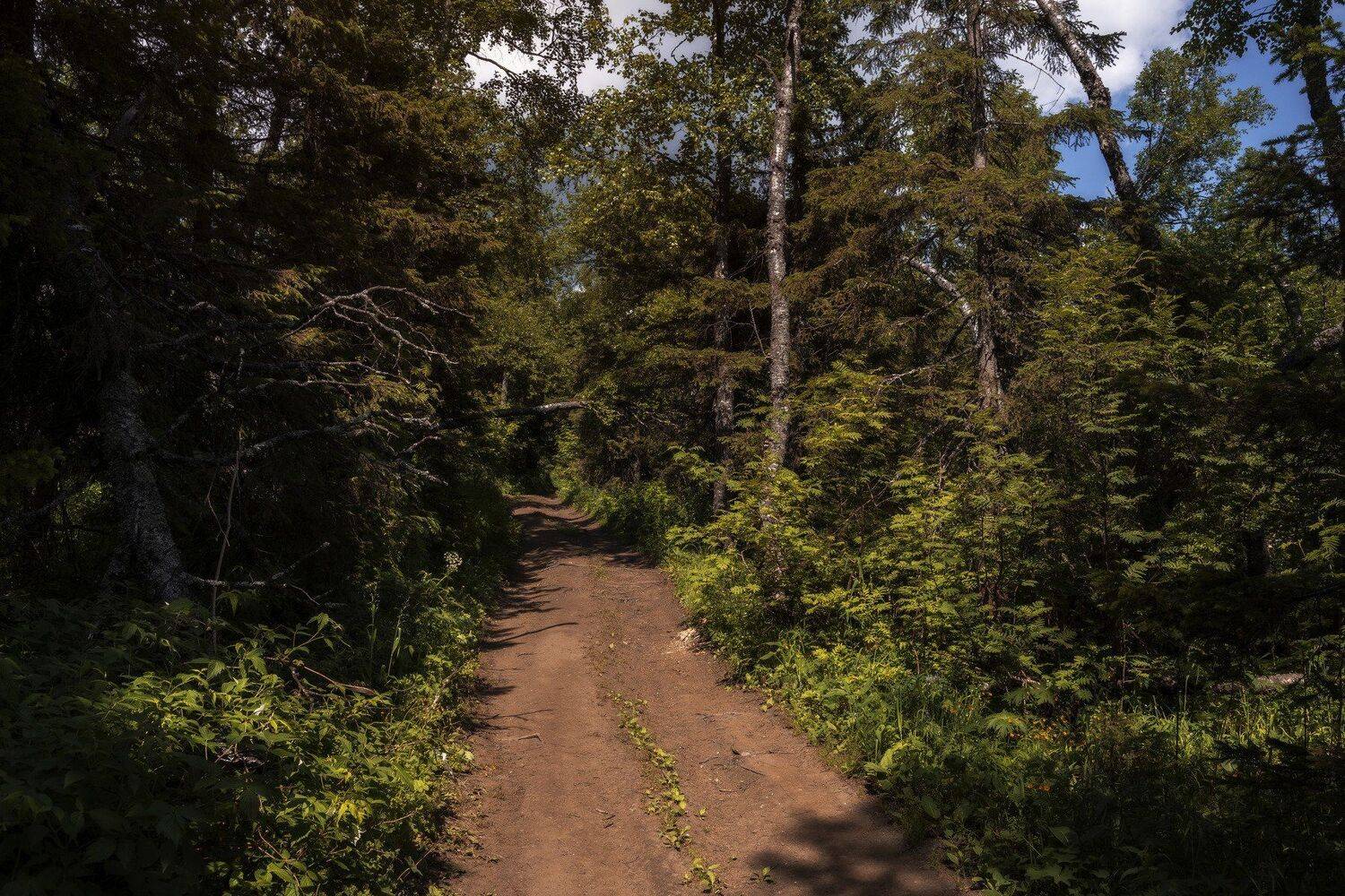 , Андрей Шарапов