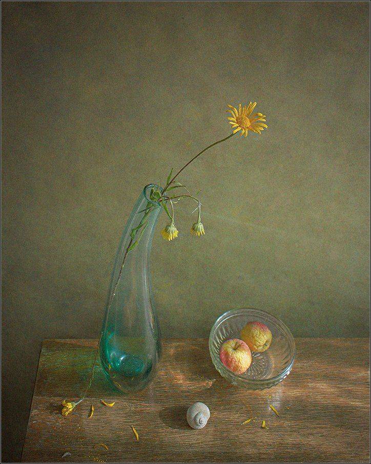 , Stein Georg