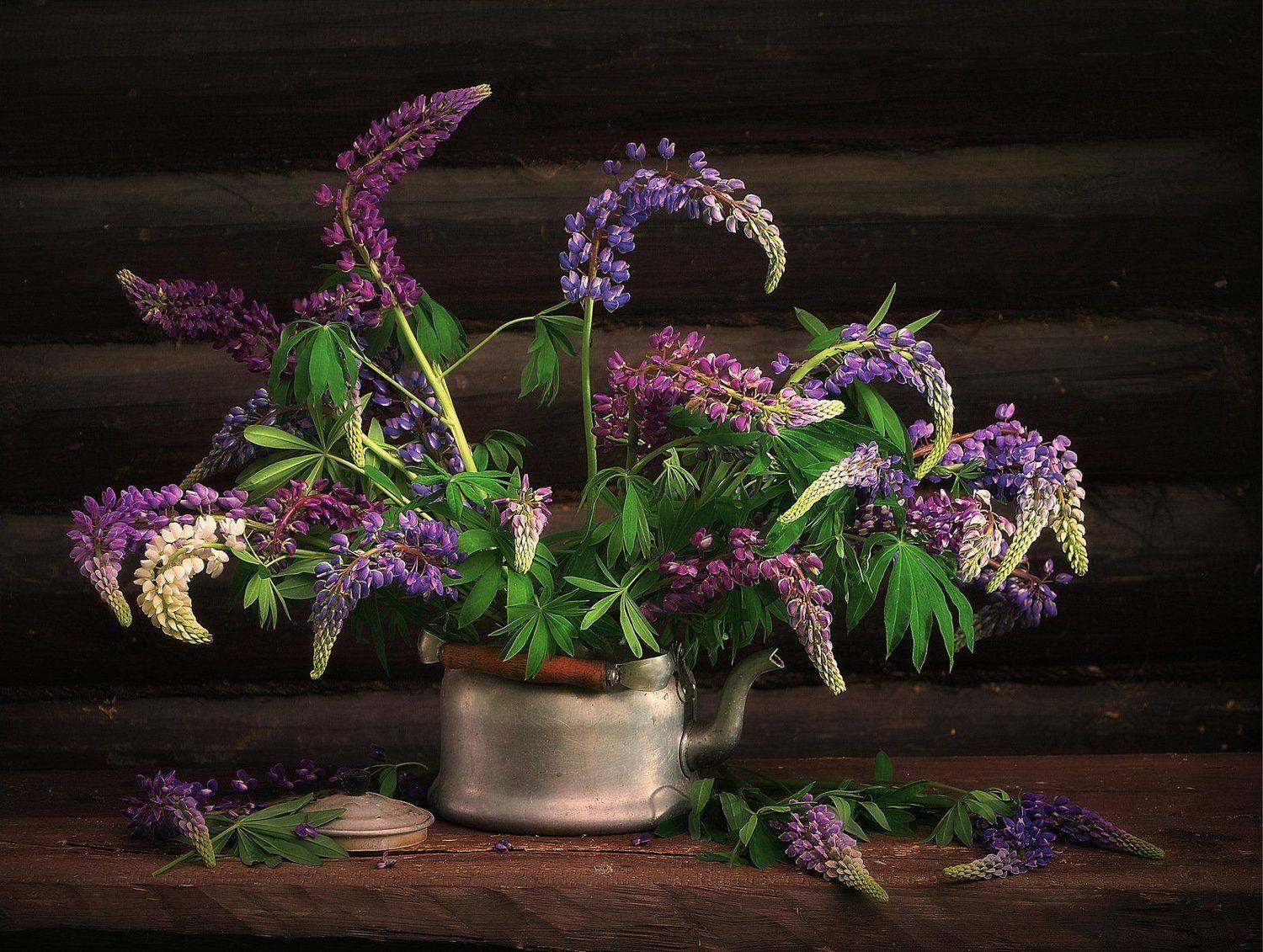 сергей алексеев, натюрморт, Сергей Алексеев