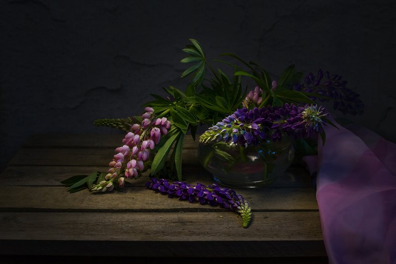 Люпины фото превью