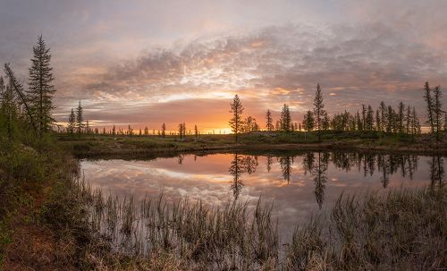 Летний вечер