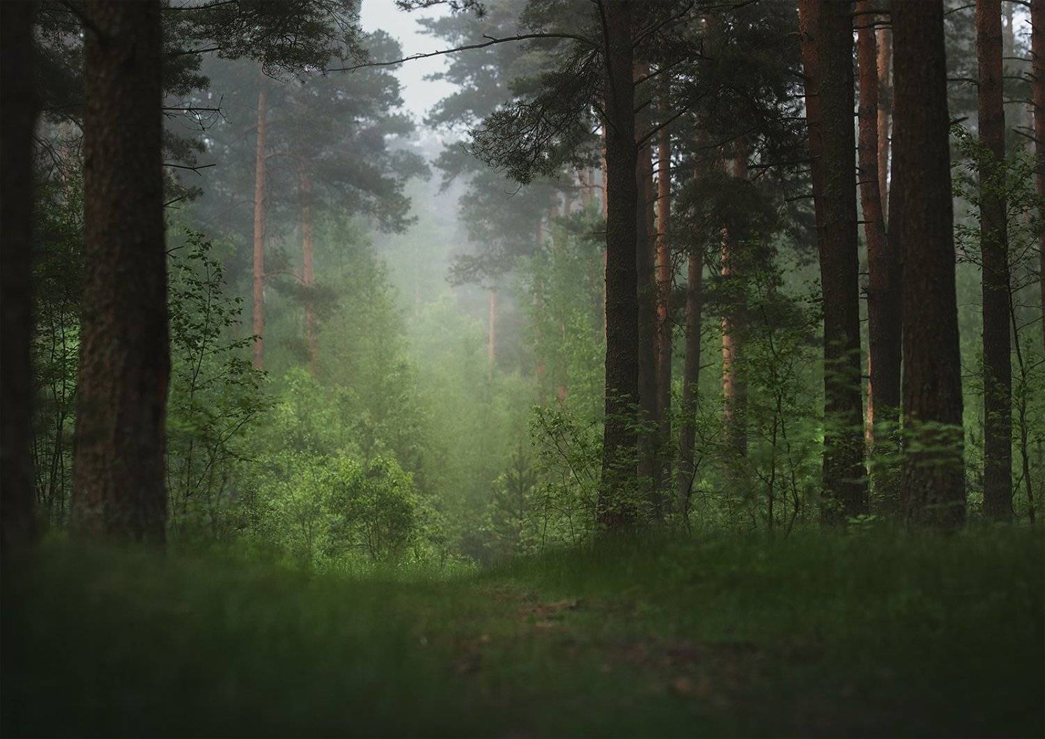 , Анастасия Крылова