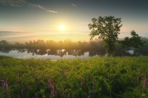 Красивая Меча