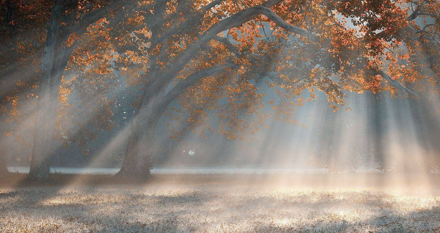 , Robert Adamec