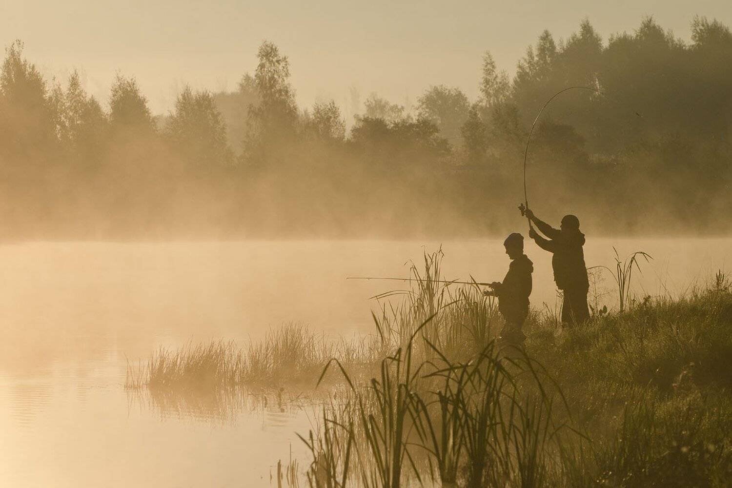 рыбалка, рыбаки, утро, туман, коптево, Михаил Агеев