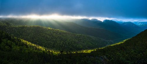 Божественная улыбка