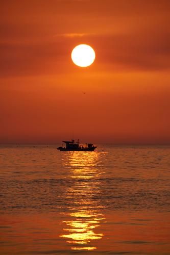 Sun, Seagull, Fishing boat