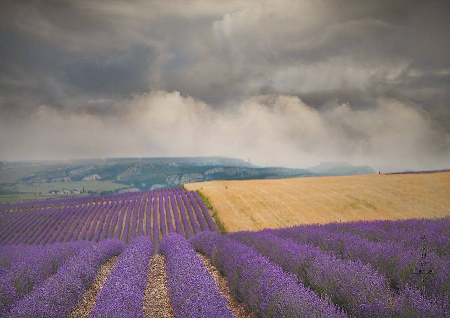 , Борис Костарев