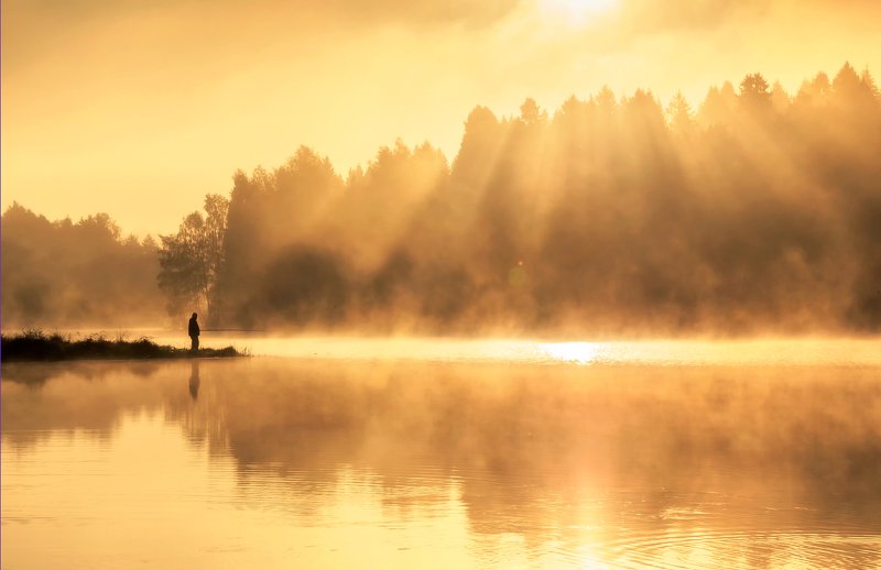 пейзаж, озеро, рассвет, закат, туман, утро Лесное озеро фото превью