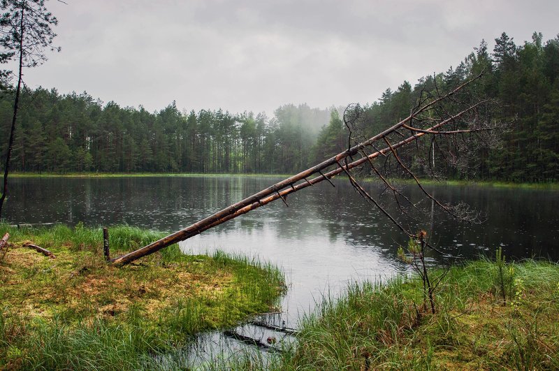 ***  фото превью