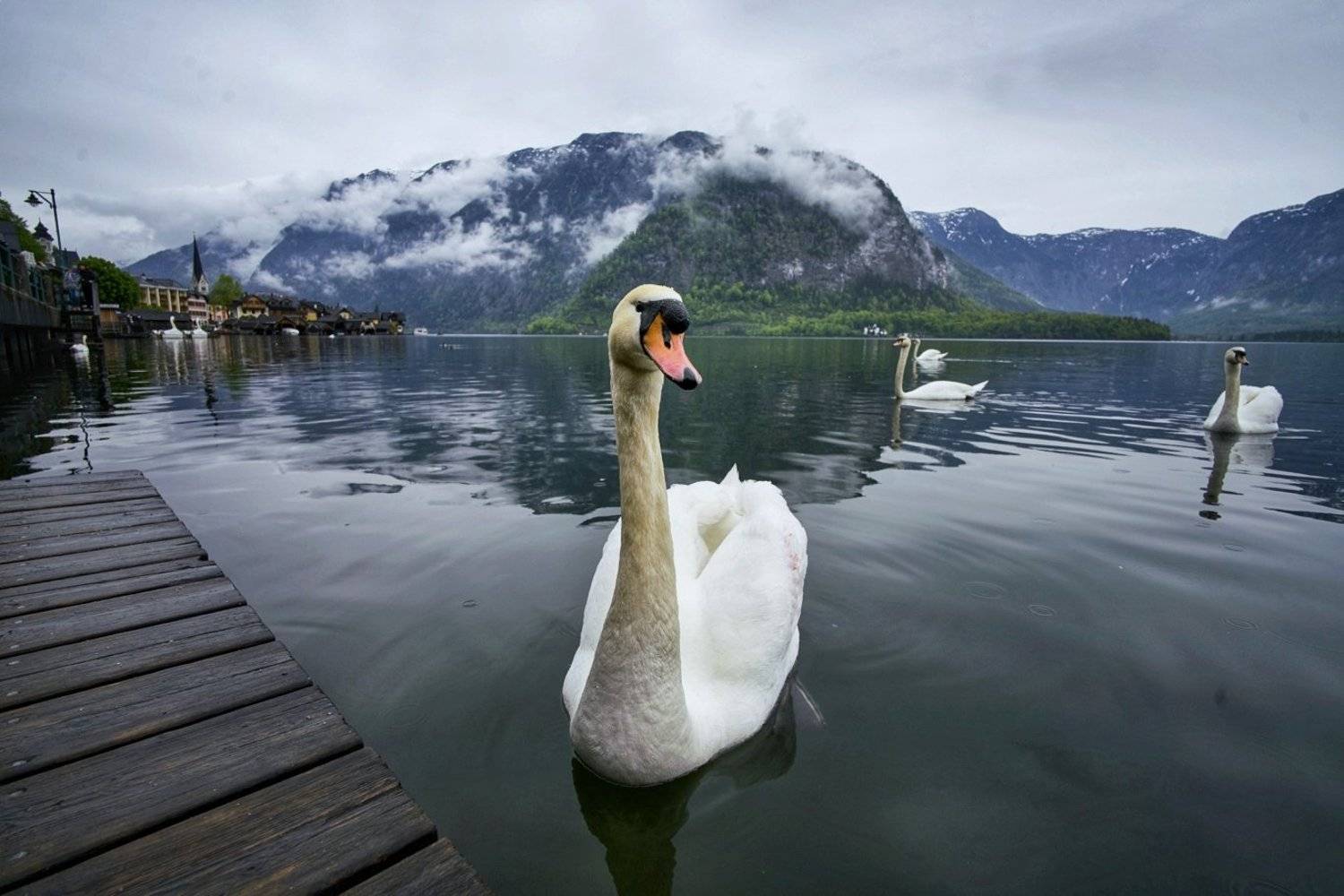 landscapes  travel, zhang ike