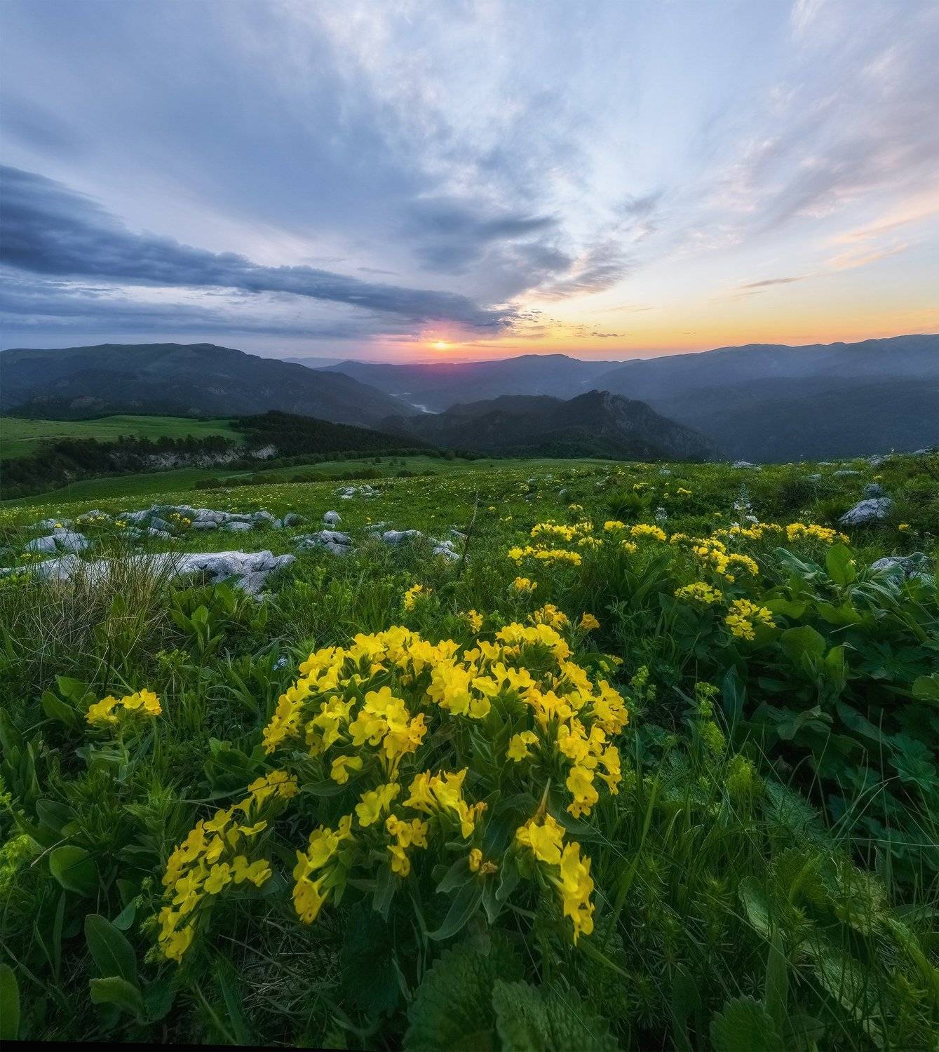 северный кавказ, рожкао, дженту,рассвет,июнь,, Николай Мысливцев