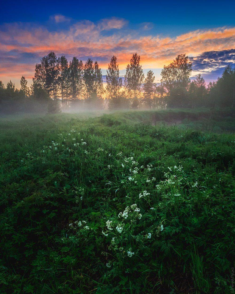 , Евгений Луцко