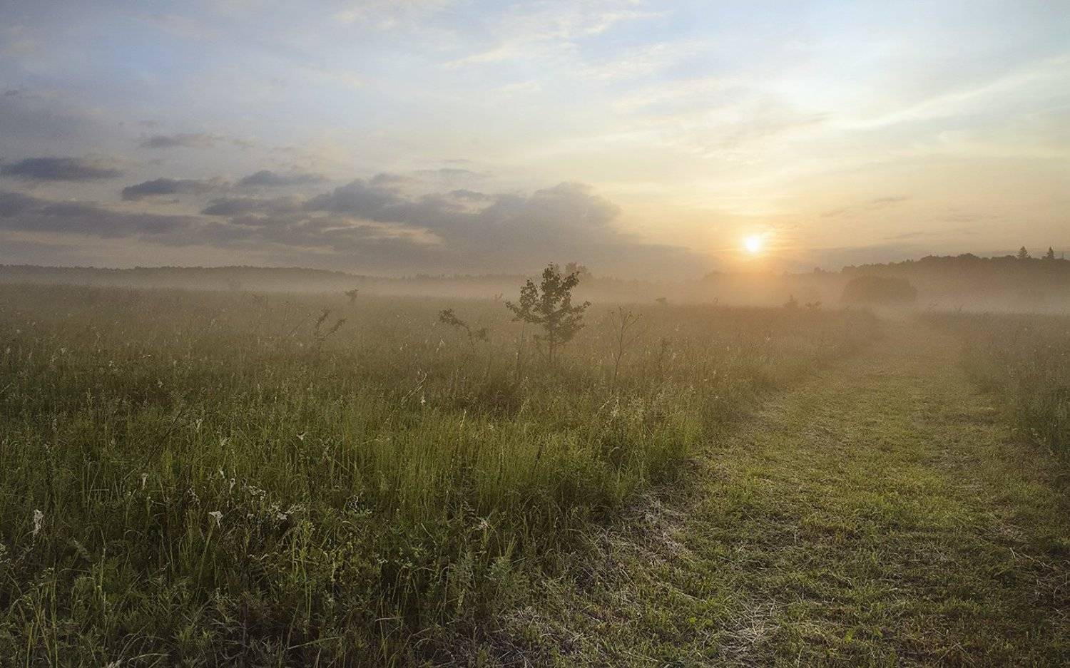 , Анатолий Зверев