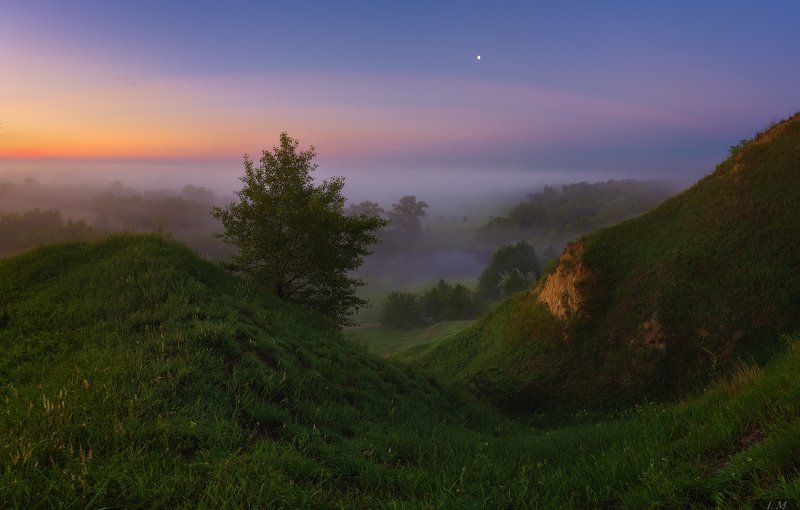 пейзаж, панорама, река, весна, рассвет, туман, Псёл, холмы, облака, утро, spring, morning, dawn, sunrise, landscape, panorama, fog, misty, river, Psel, hills, foggy, view, colors, light, tree 55 минут .. фото превью
