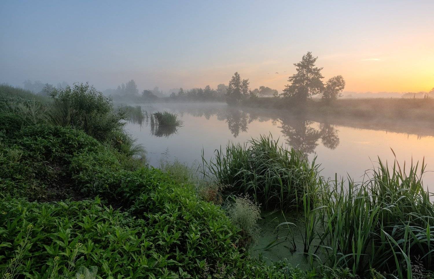 , Александр Бредихин