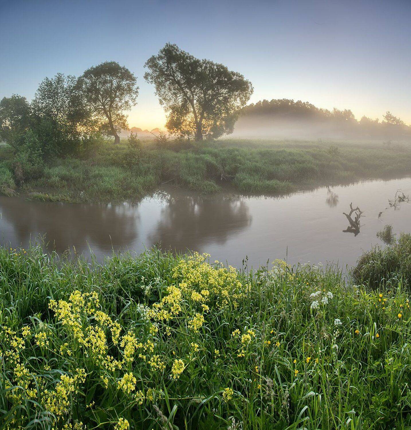 , Николай Андреев