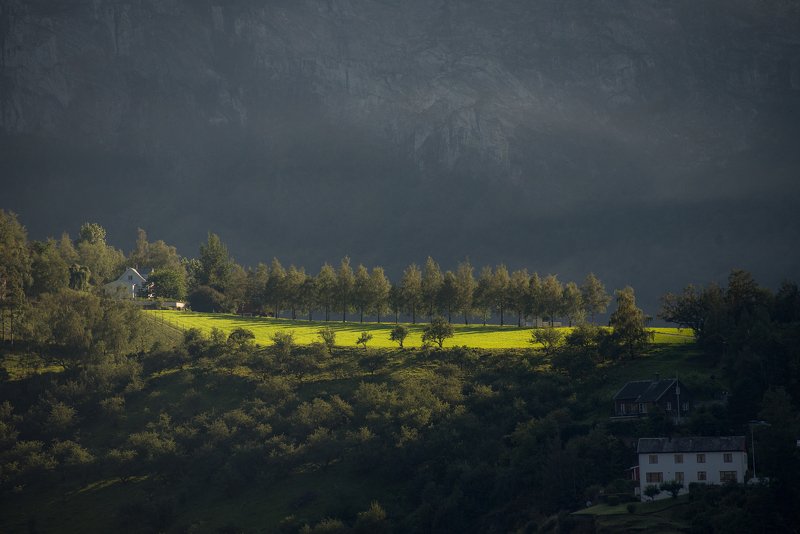 природа, пейзаж, норвегия, путешествия, флом, фьорд, красота, поезд Flåm фото превью