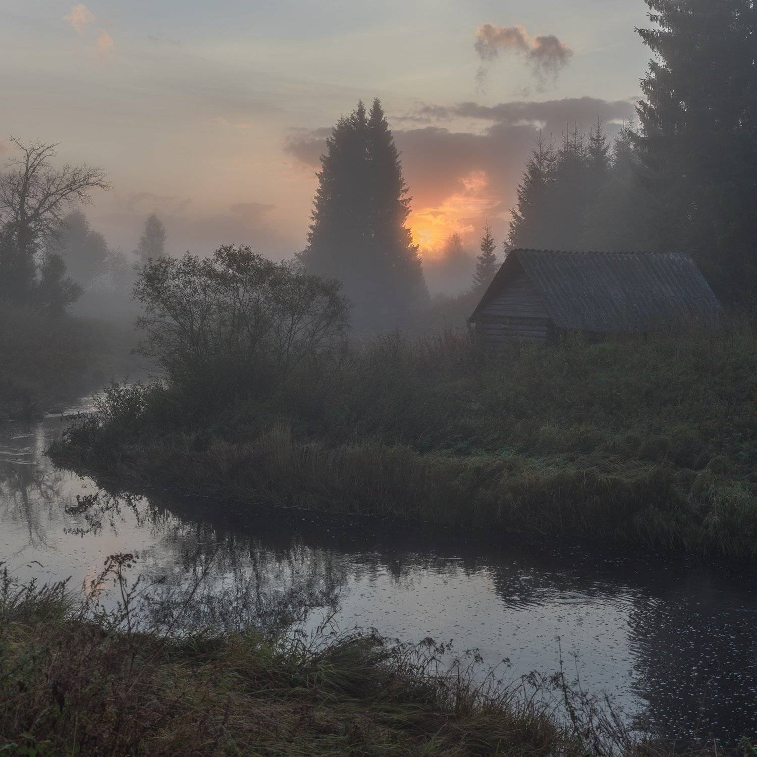 новгородская область,, Роман Фабричный