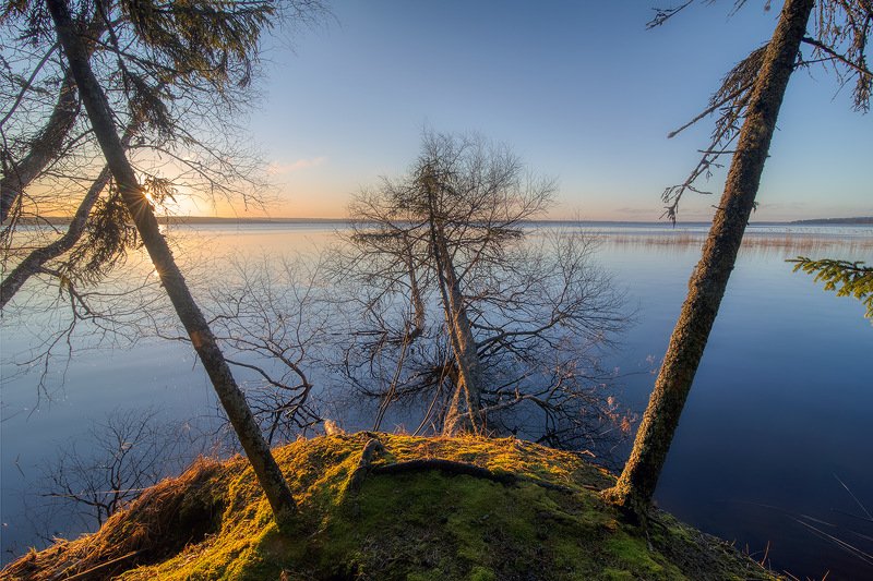 *** фото превью