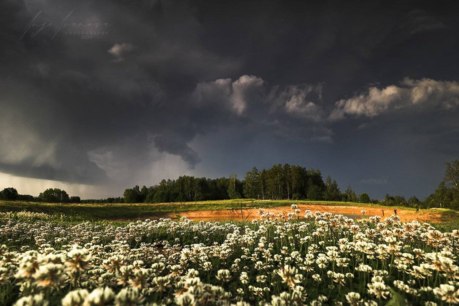 , Инга Иванова