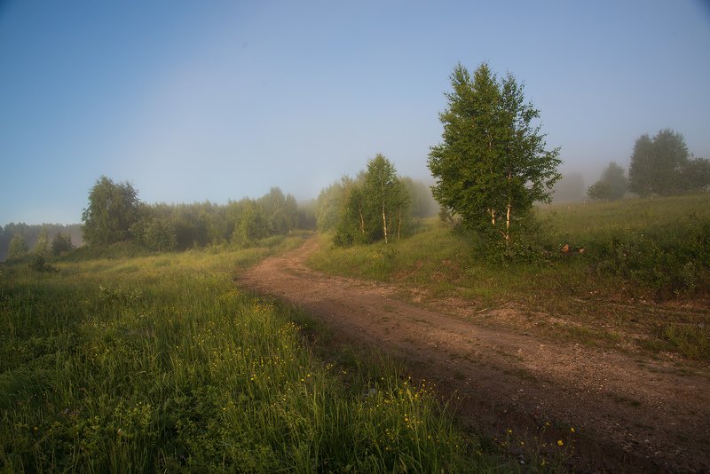 По дороге за туманом... фото превью