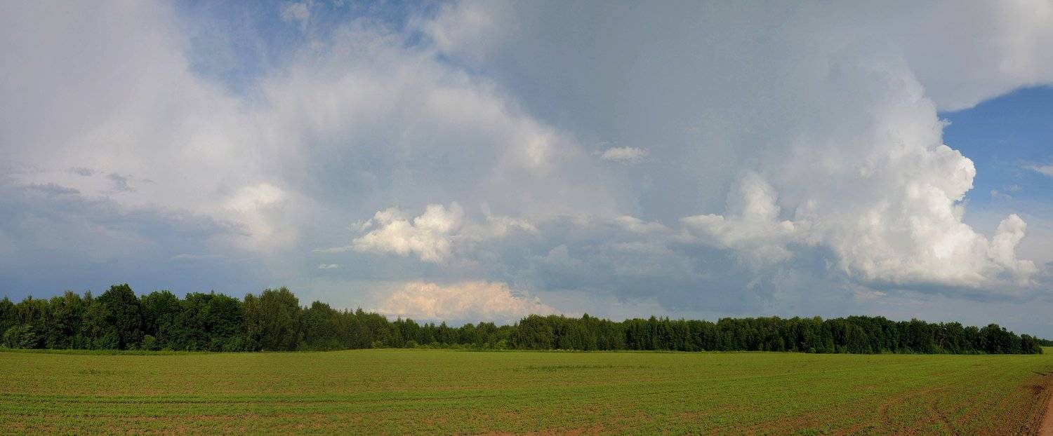 небо облака поле, Владимир