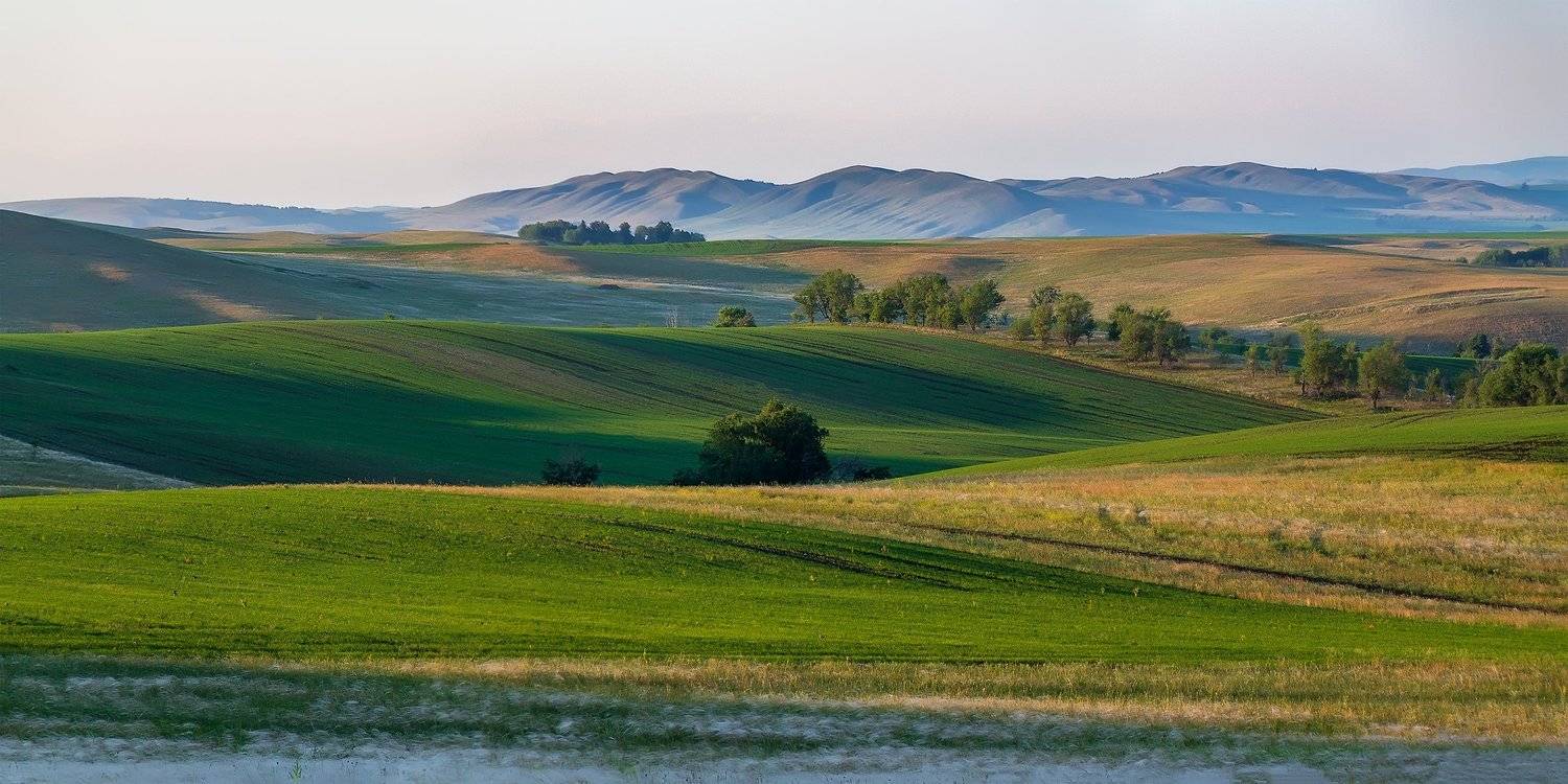 , Леонид Максименко