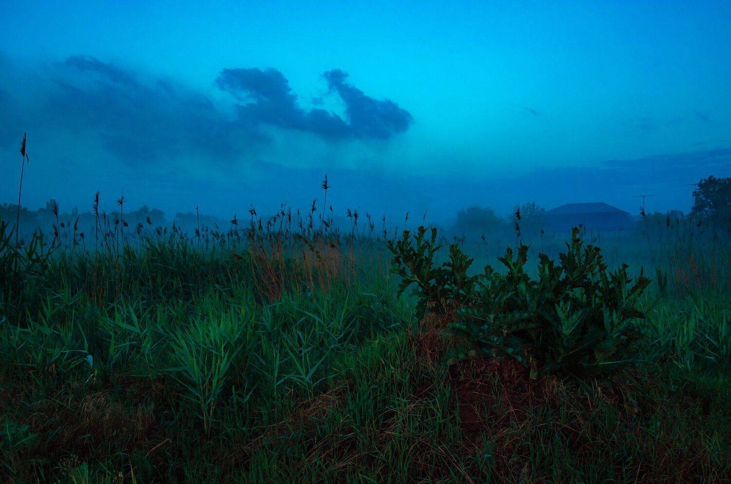 , Александр Хромеев