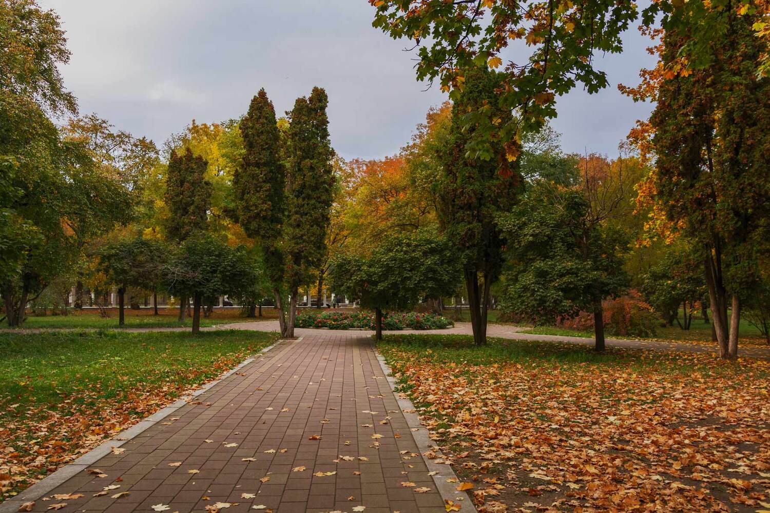 , Владимир Гамаюнов