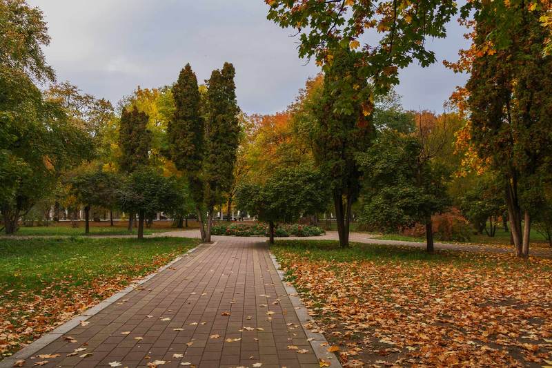 вечер в старом парке фото превью