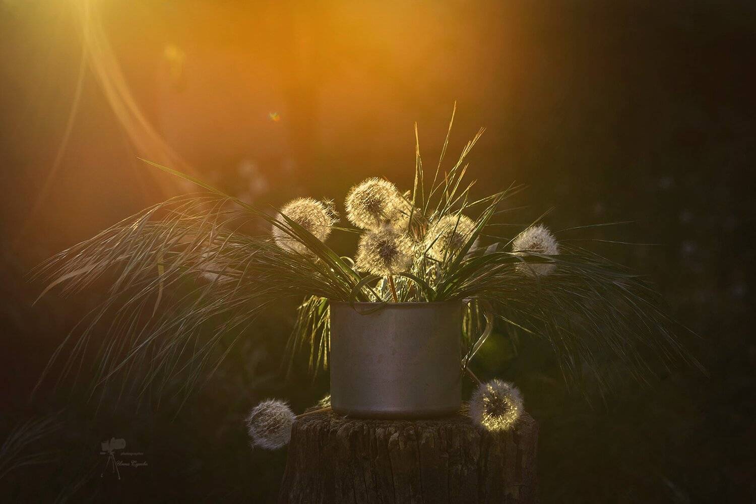 , Инна Сухова