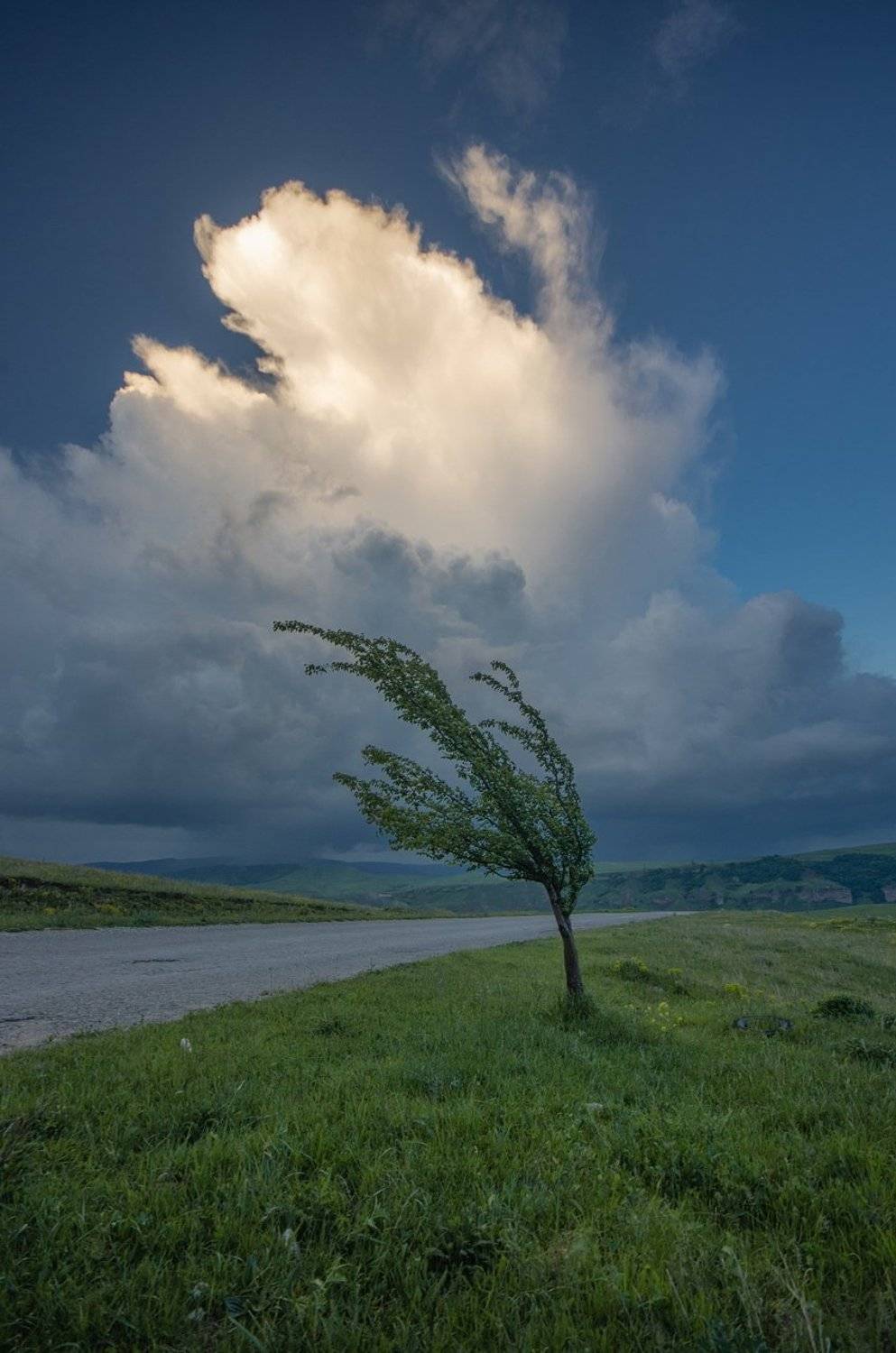 гора, небо, плато, облака, утро, тучи, непогода, дерево, гроза, Арсен Алабердов