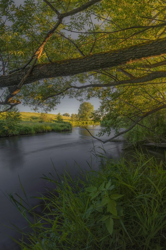 природа, пейзаж, россия, путешествия Вечер у реки фото превью