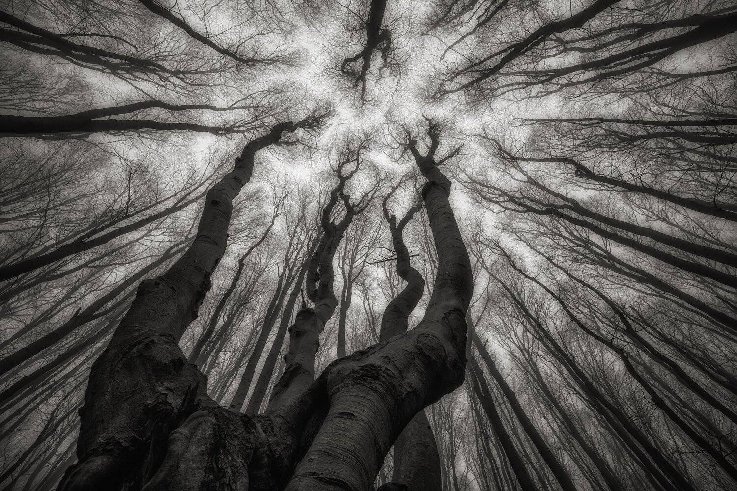 , Костадин Маджаров