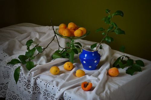 Абрикосовый рай.