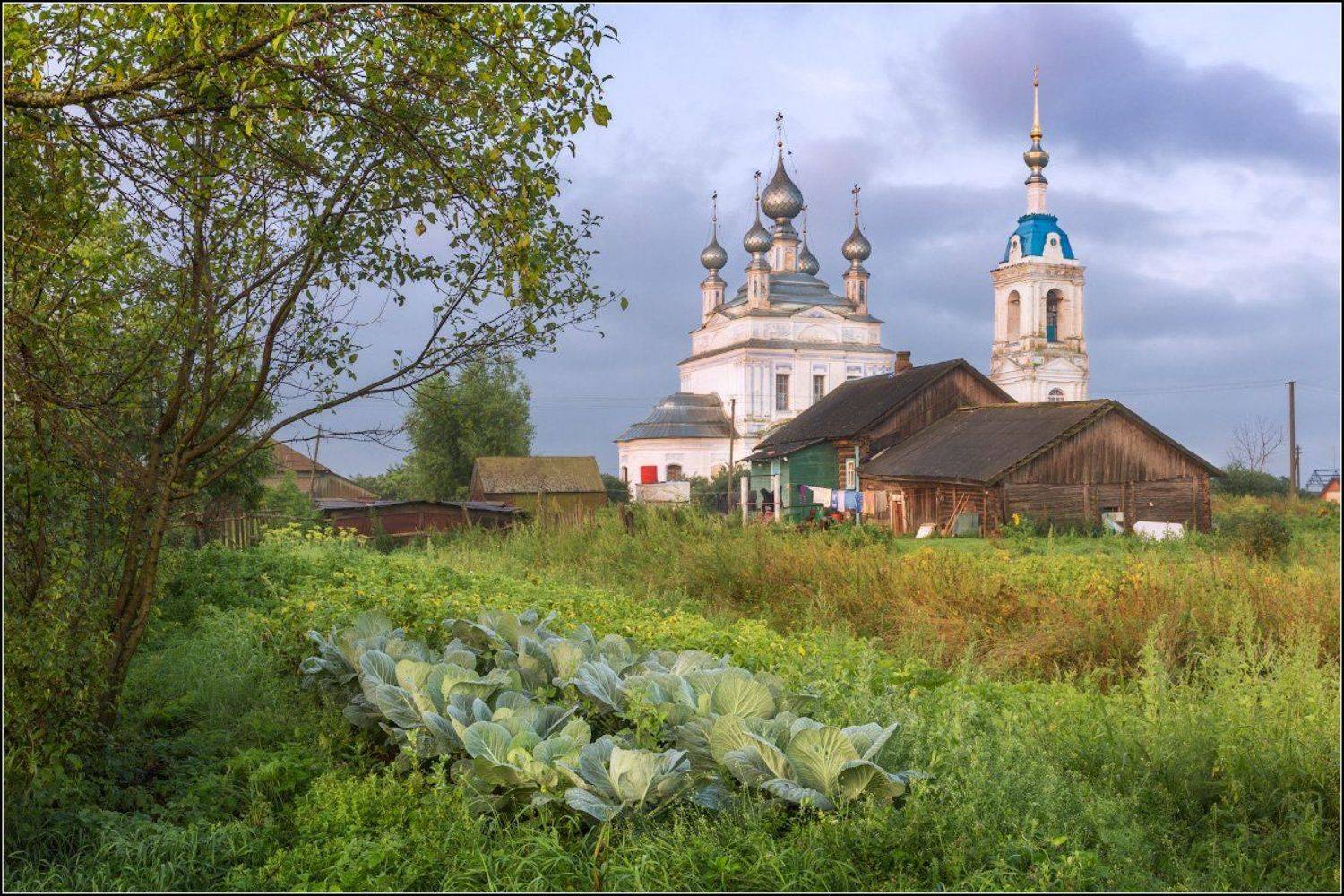 , Александр Марецкий