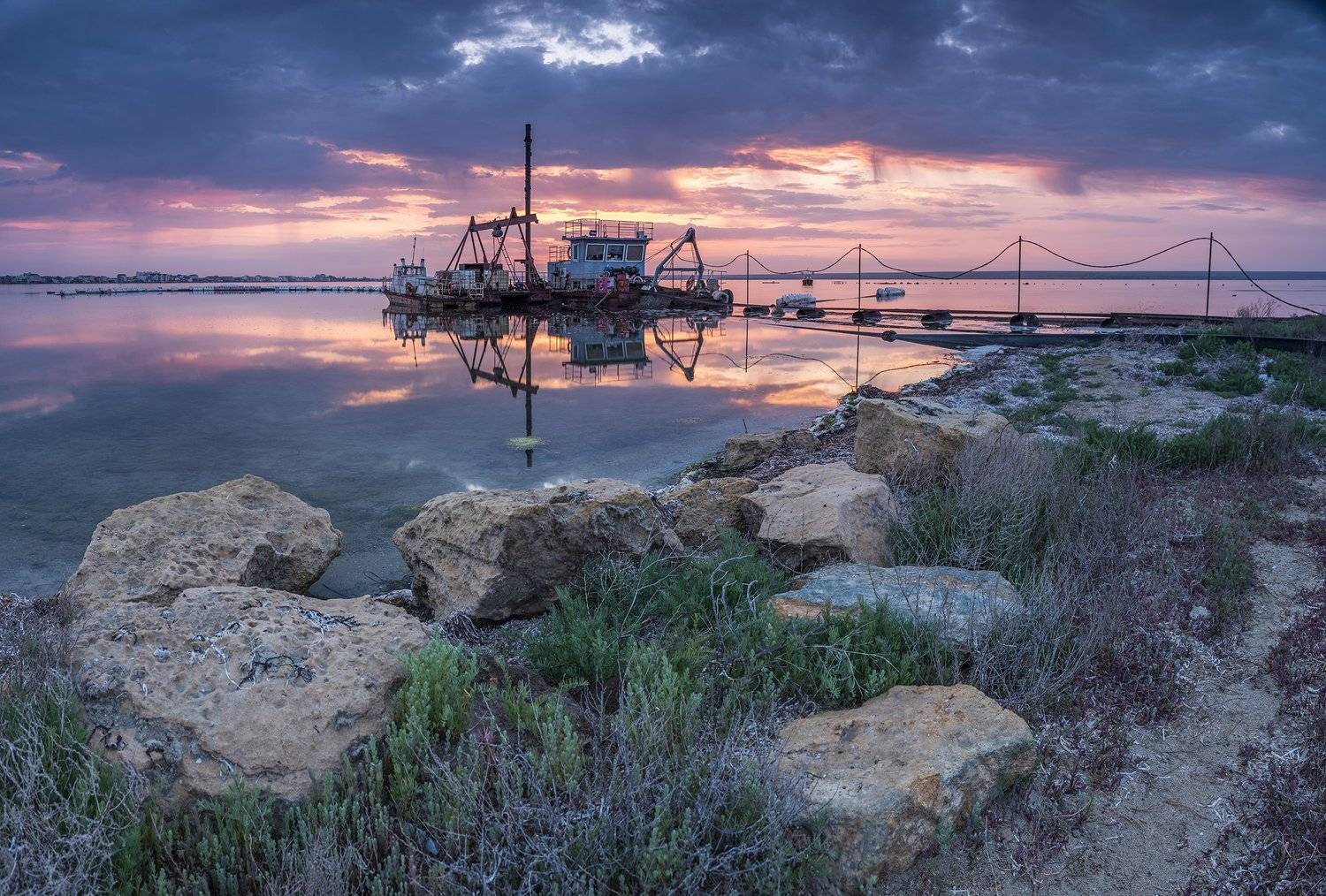 , Станислав Савицкий