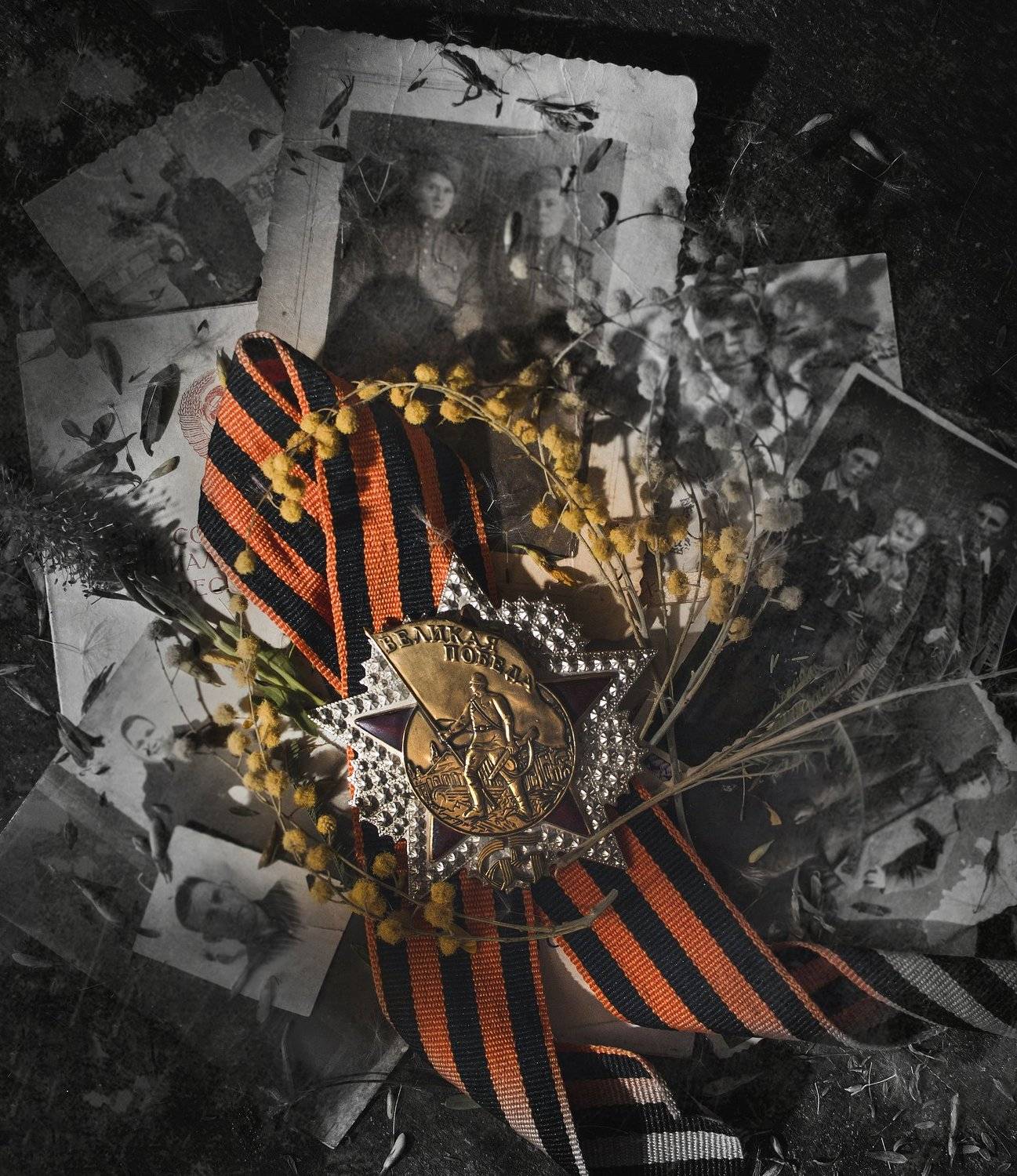 победа,старое,фотографии,военные,орден, Владимир Володин