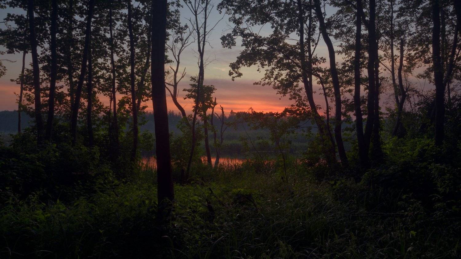 , Михаил Кушнер