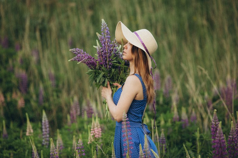 люпины Цветущие люпины фото превью