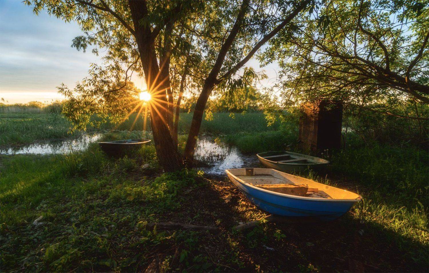 закат, Майя Афзаал