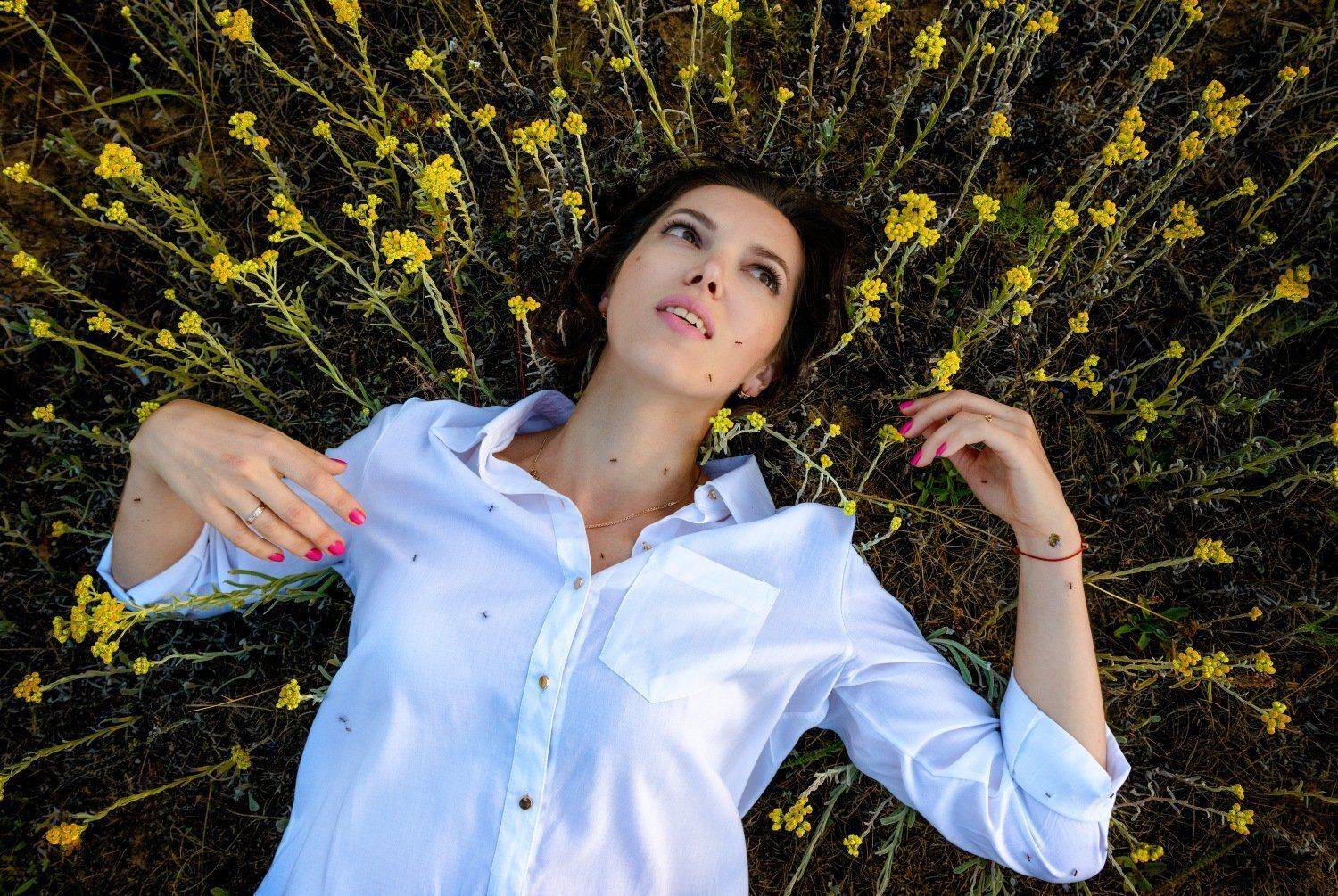 , Никитин Николай