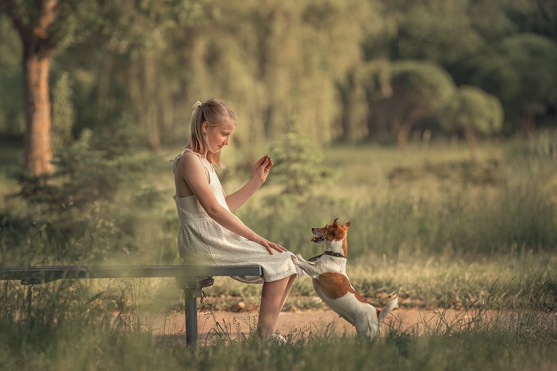 фото превью