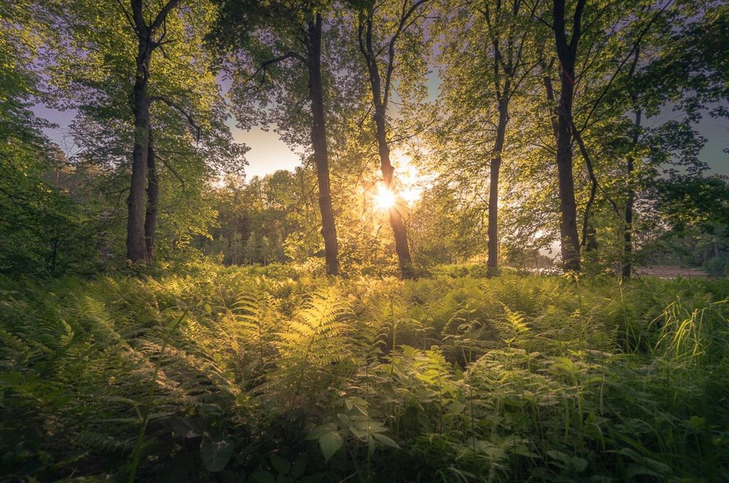 , Светлана Морозова