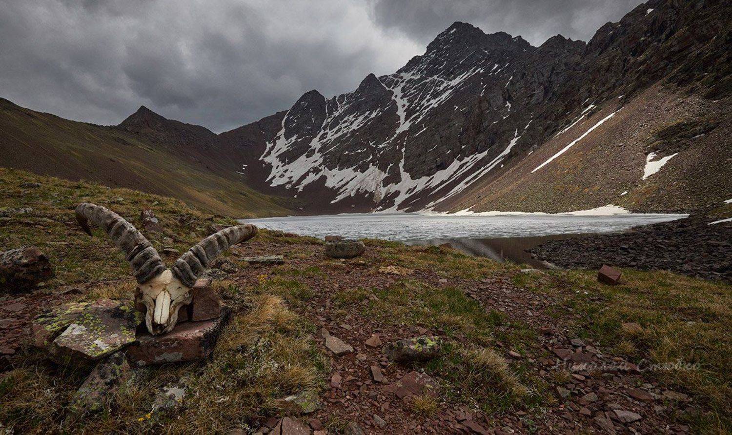 кавказ горы озеро, Николай Стюбко